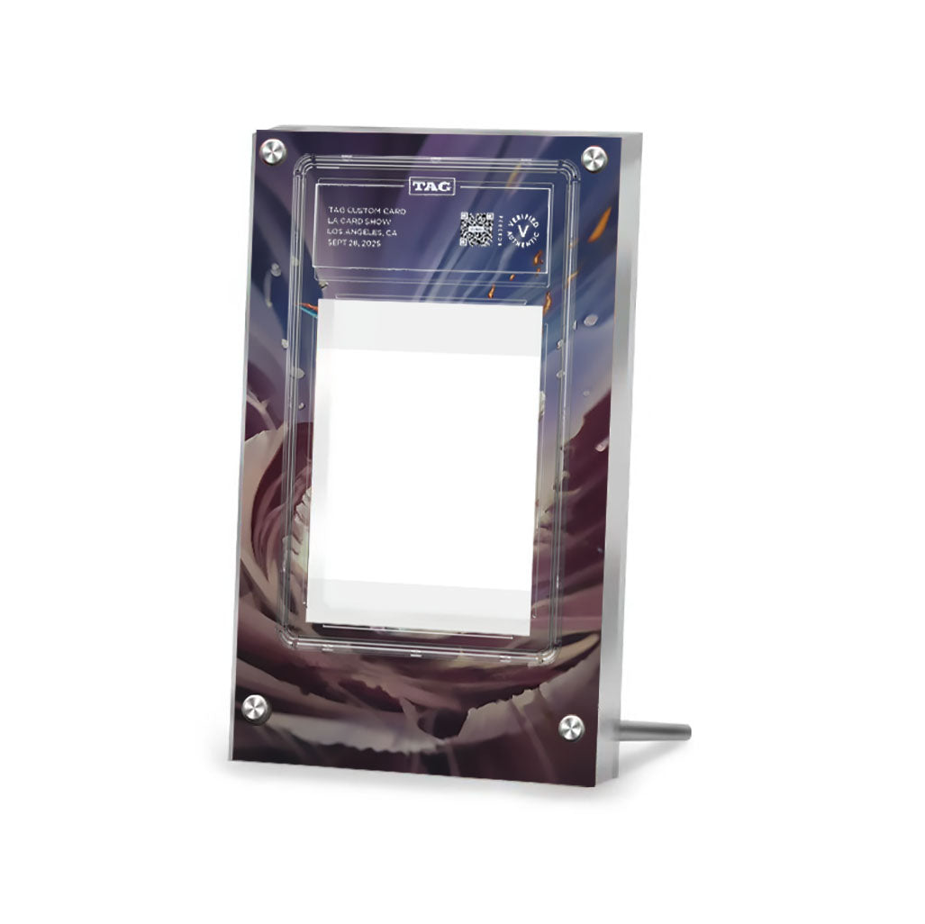 Charizard EX XY-P 276 - Pokémon Extended TAG Artwork Protective Card Display Case