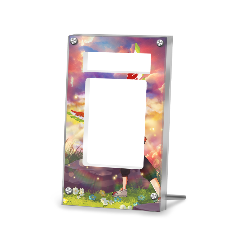 Ethan's Ho-Oh ex - 086/063 - Pokémon PSA Extended Artwork Protective Card Display Case