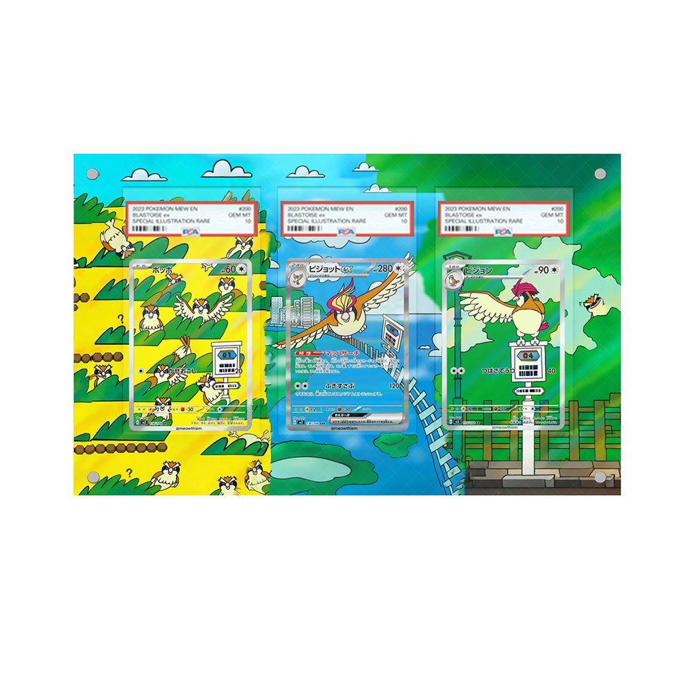 Pidgey & Pidgeotto & Pidgeot - Pokémon Extended Artwork Protective Card Display Case
