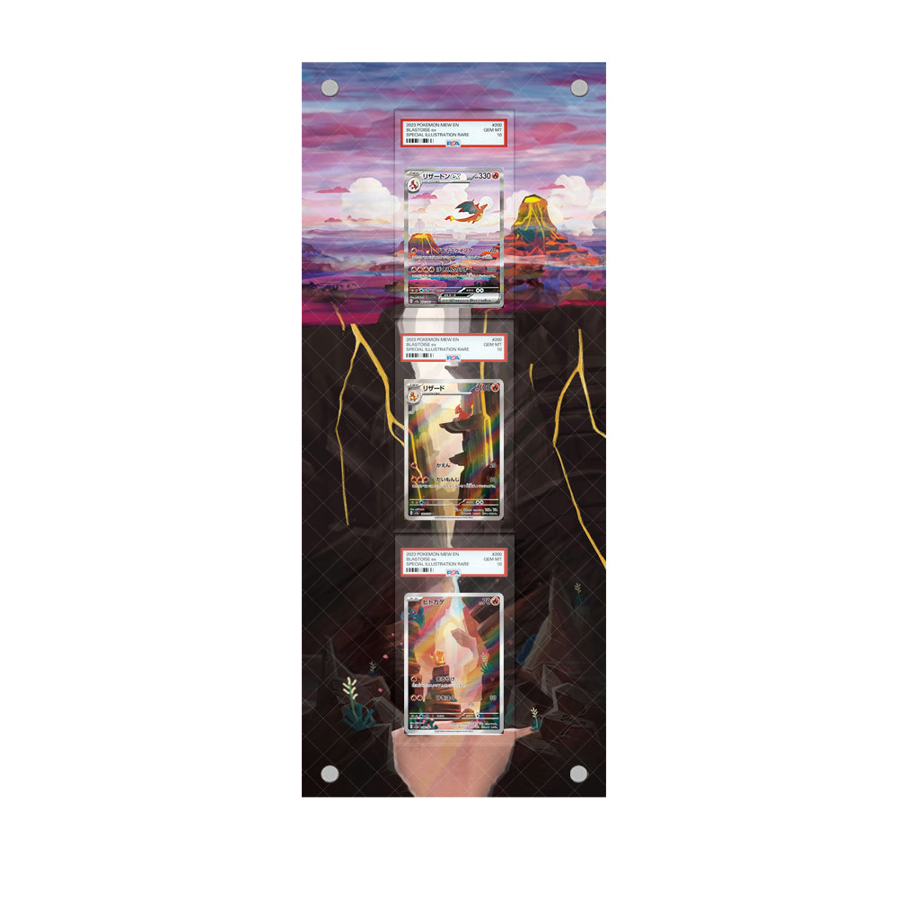 Charizard Charmeleon Charmander - Pokémon Extended Artwork Protective Card Wall Frame