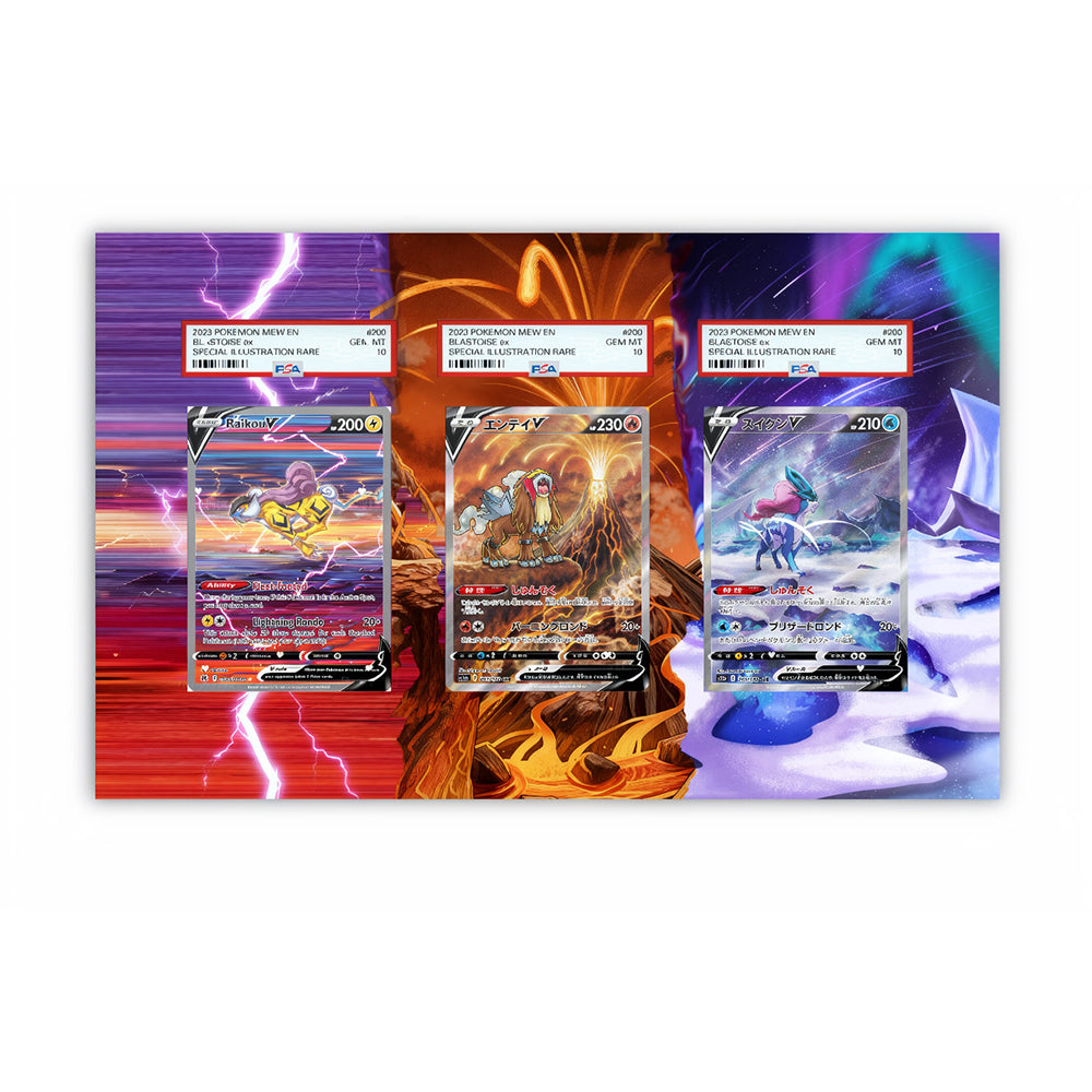 Raikou Suicune Entei - Pokémon Extended Artwork Protective Card Display Case