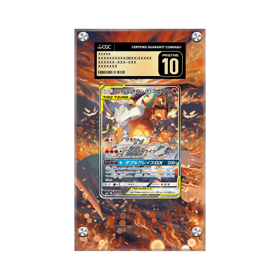 Reshiram & Charizard GX 217/214 Pokémon Extended Artwork Display Case Psa/cgc/raw