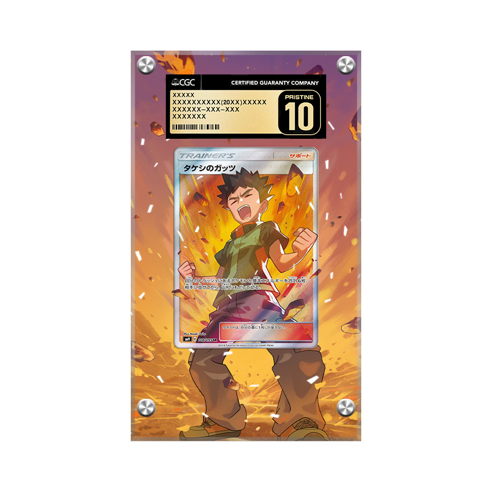 Brock's Grit 172/181 Pokémon Extended Artwork Protective Card Display Case Psa/cgc/raw