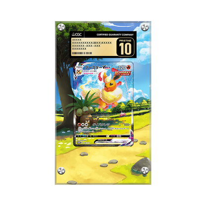Flareon VMAX Swsh180 Pokémon Extended Artwork Protective Card Display Case Psa/cgc/raw