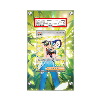 Perrin Sr 087/066 Pokémon Extended Artwork Protective Display Case Psa/cgc/raw