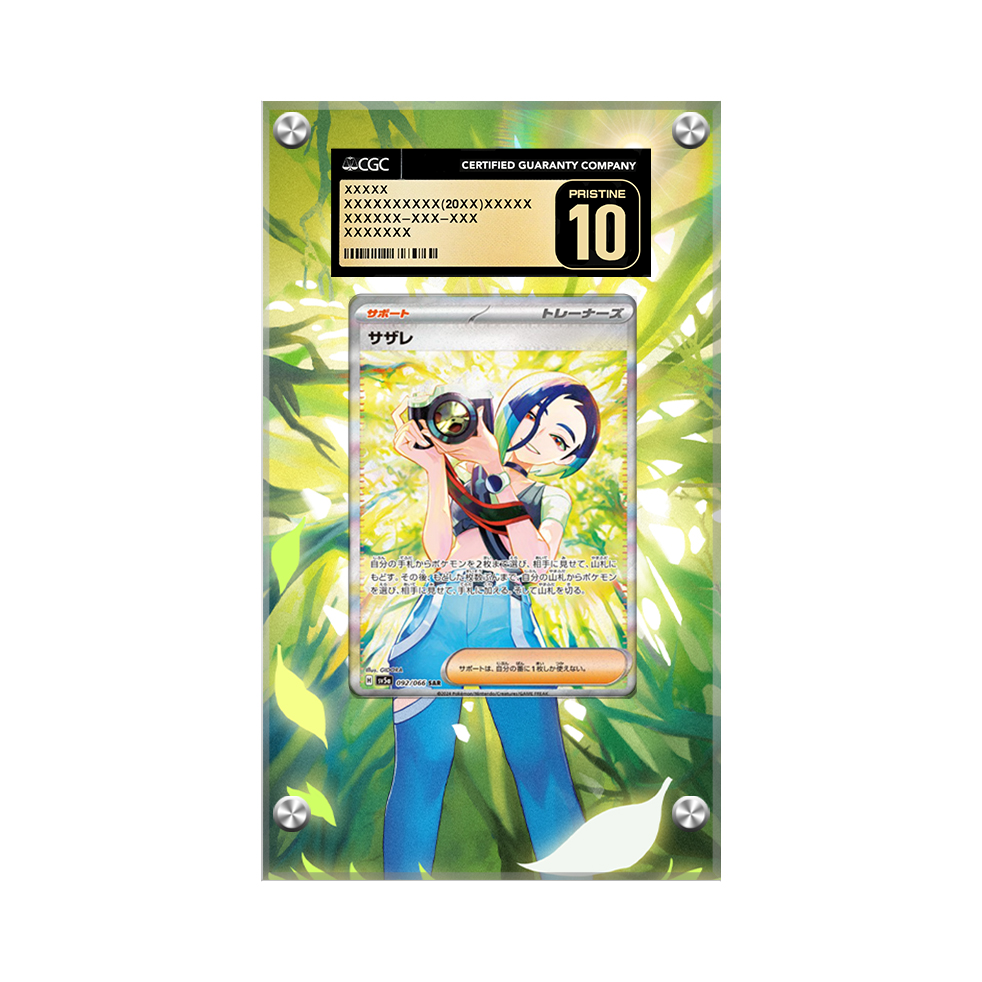 Perrin Sr 087/066 Pokémon Extended Artwork Protective Display Case Psa/cgc/raw