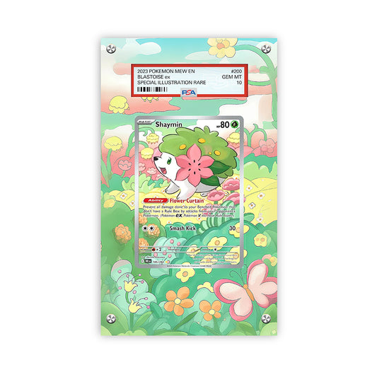 Shaymin 185/182 - Pokémon PSA Extended Artwork Protective Card Display Case