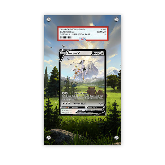Arceus V SWSH204 - Pokémon PSA Extended Artwork Protective Card Display Case
