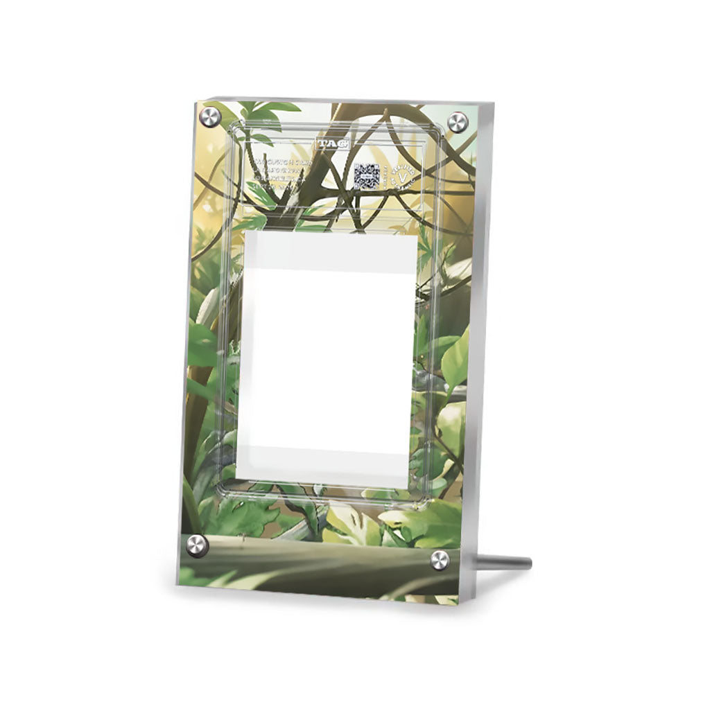 Nidoking 174/165 - Pokémon Extended Artwork Protective Card Display Case Psa/cgc/tag/raw