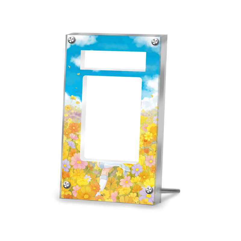 Lillie’s Determinatio 184/132 - Pokémon Extended Artwork Protective Card Display Case Psa/cgc/raw