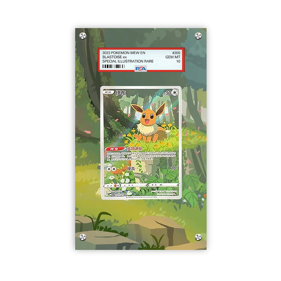 Eevee Cbb2c 15/15 - Pokémon Extended Artwork Protective Card Display Case Psa/cgc/tag/raw