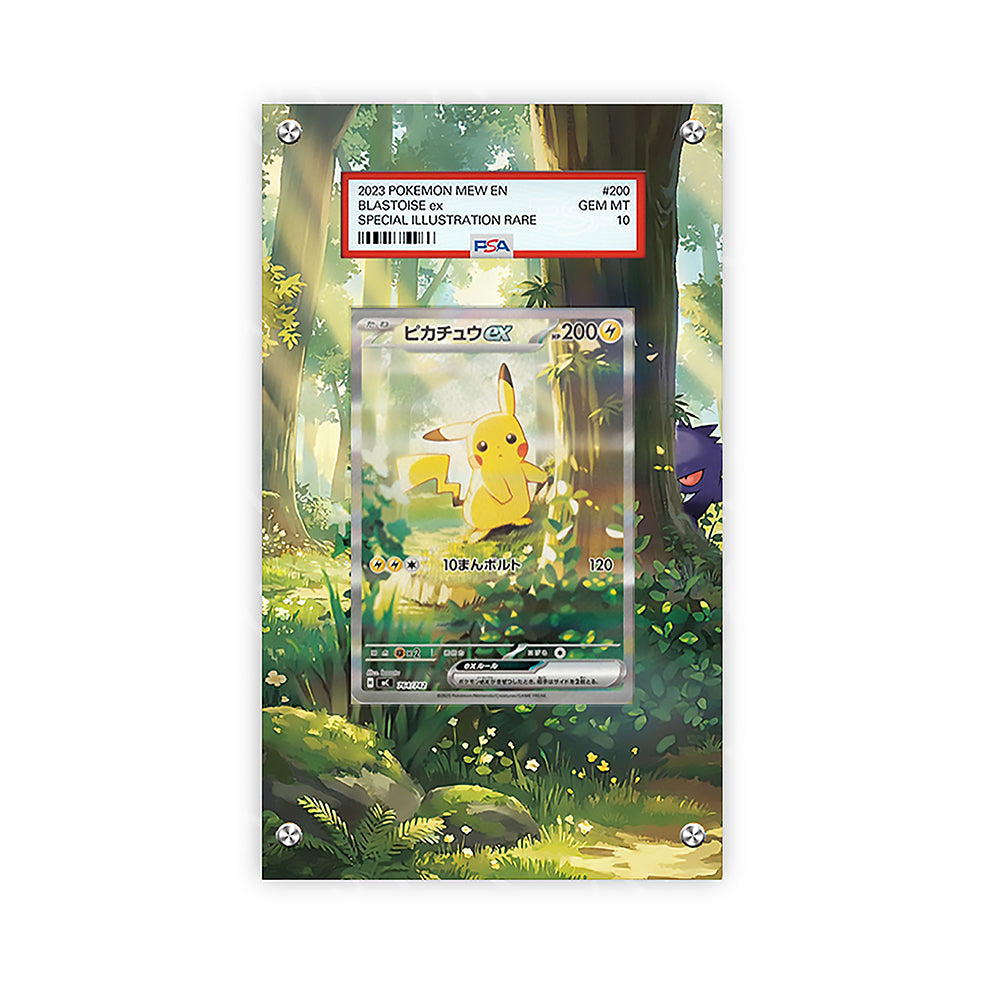 Pikachu EX - 276/217 - Pokémon Extended Artwork Protective Card Display Case Psa/raw