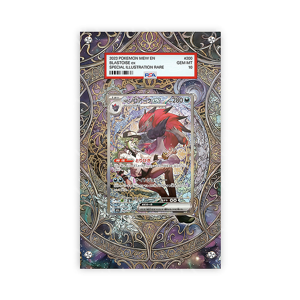 N's Zoroark EX - 242/193 - Pokémon Extended Artwork Protective Card Display Case Psa/raw