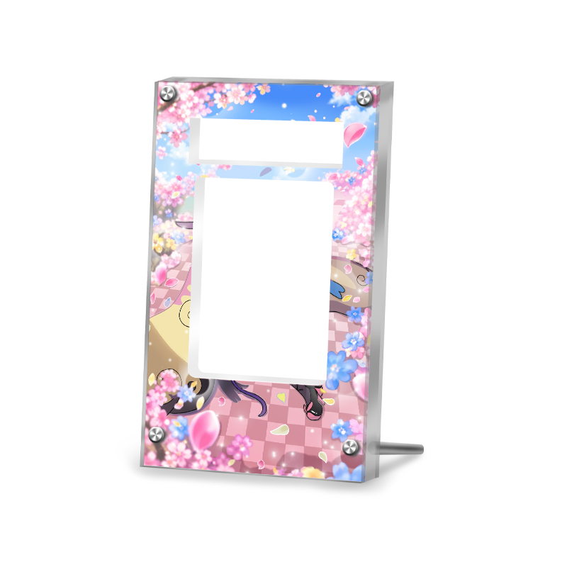 Sylveon V TG14/TG30 - Pokémon Extended Artwork Protective Card Display Case Psa/cgc/tag/raw