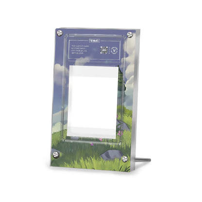 Pikachu V - Swsh11 - Pokémon Extended Artwork Protective Card Display Case Psa/cgc/tag/raw