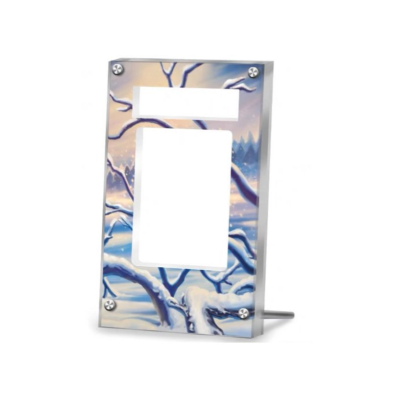 Glaceon VSTAR Gg40 Pokémon Extended Artwork Protective Card Display Case