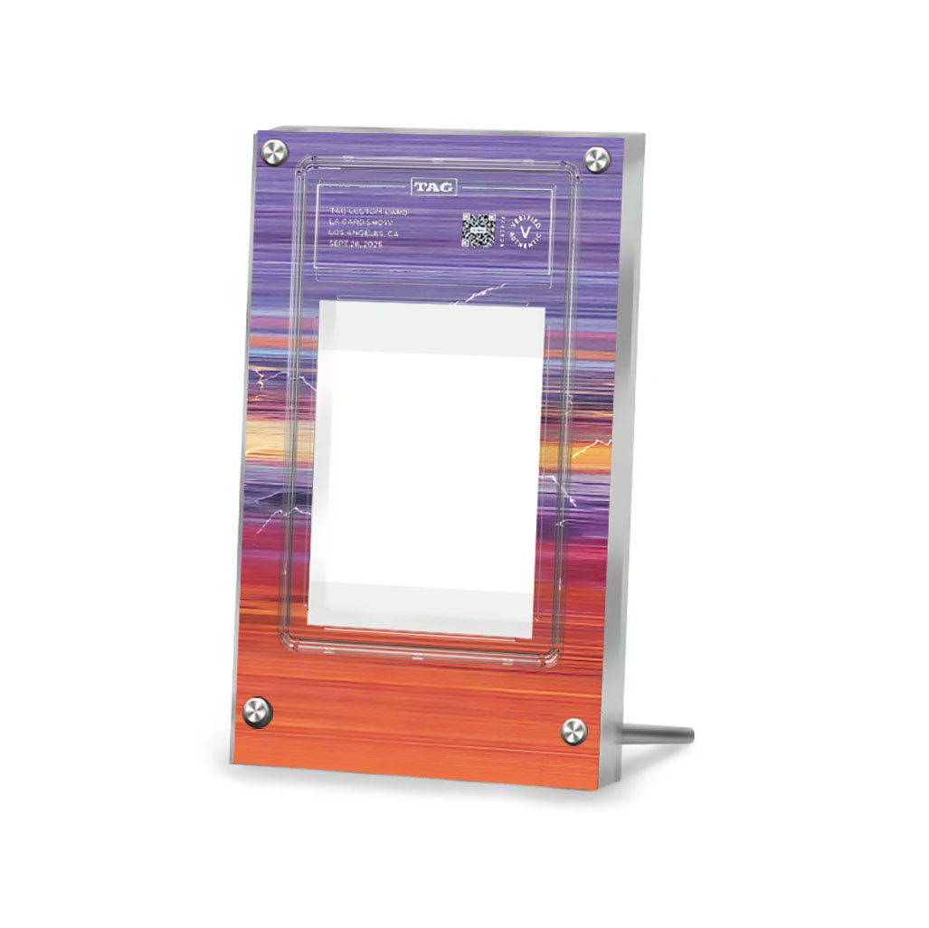 Raikou V GG41/GG70 - Pokémon Extended TAG Artwork Protective Card Display Case