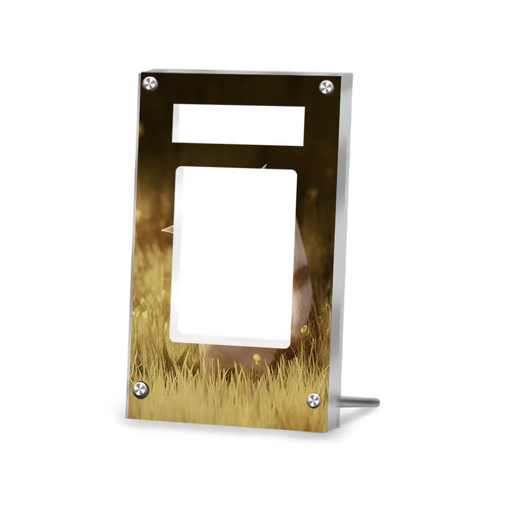 Furret 168/159 - Pokémon PSA Extended Artwork Protective Card Display Case