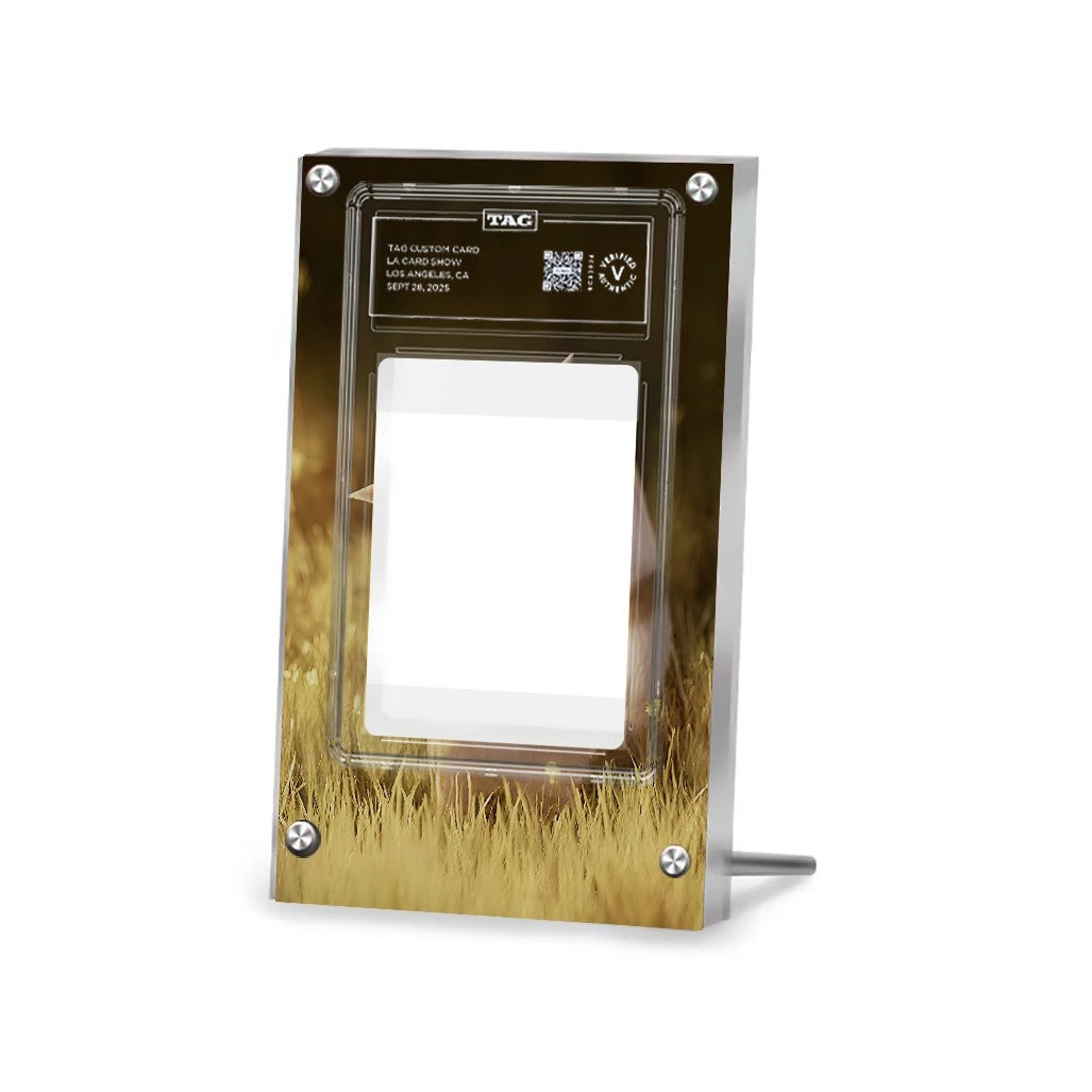 Furret 168/159 - Pokémon Extended Artwork Protective Card Display Case Psa/cgc/tag/raw