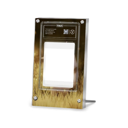 Furret 168/159 - Pokémon Extended Artwork Protective Card Display Case Psa/cgc/tag/raw