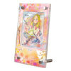 Mina 211/214 Pokémon Extended Artwork Protective Card Display Case