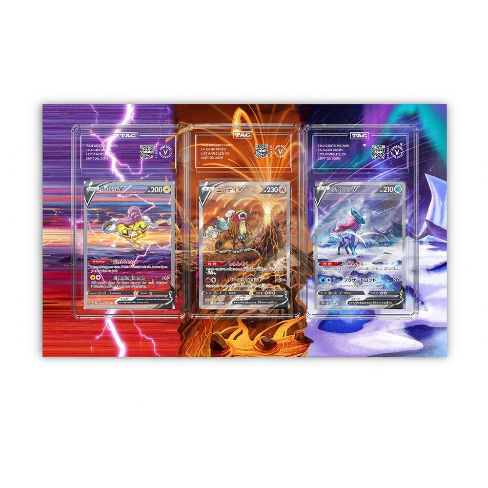Raikou Suicune Entei - Pokémon Extended Artwork Protective Card Display Case