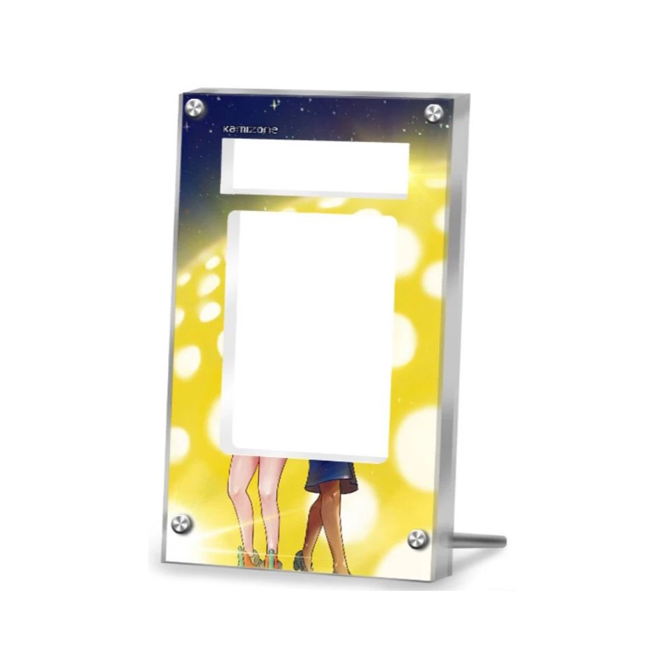 Misty & Lorelei (japanese) 191/173 Pokémon Extended Artwork Display Case Psa/cgc/raw
