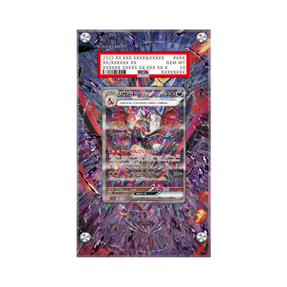 Charizard EX 234/091 Pokémon Extended Artwork Protective Card Display Case Psa/cgc/raw
